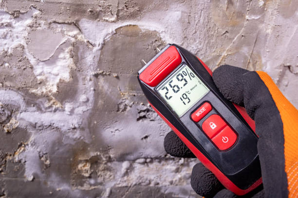 Best Emergency Mold Removal  in Sunbury, PA